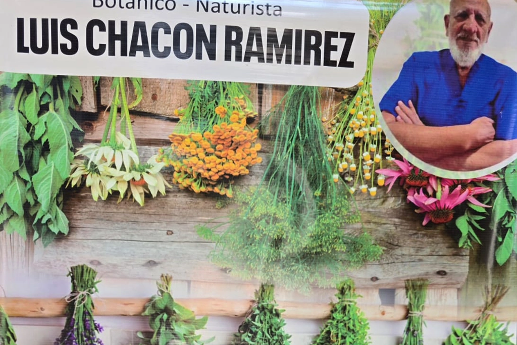 Professional team collaboration